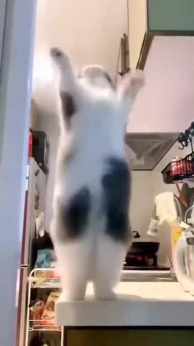 whhhhhaaaaaaaat? - Nice moves.