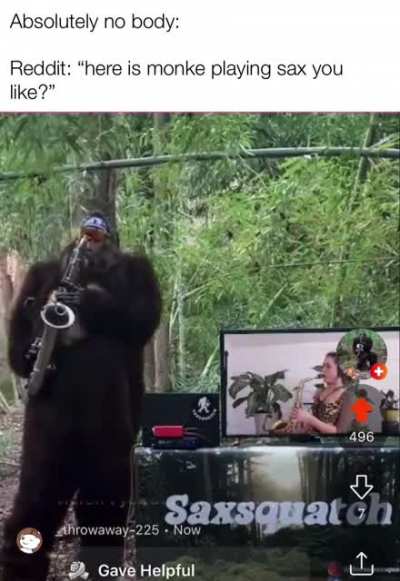 I don&rsquo;t like live streams but monke
