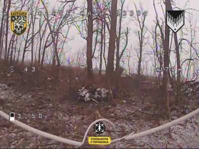 Drones from the "VORON" Unmanned Systems Battalion of the 100th Mechanized Brigade struck Russian infantry and equipment. Published February 18, 2026