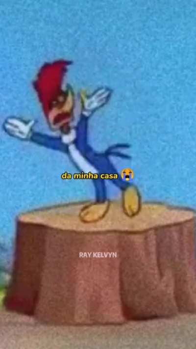 &Eacute; personagem