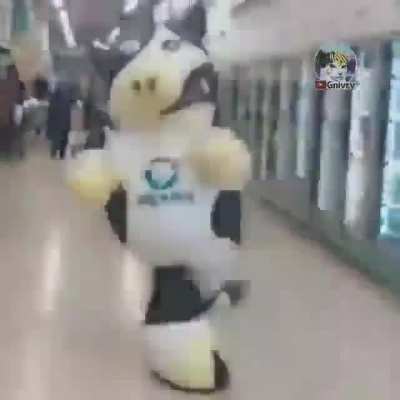 Palla kkkj