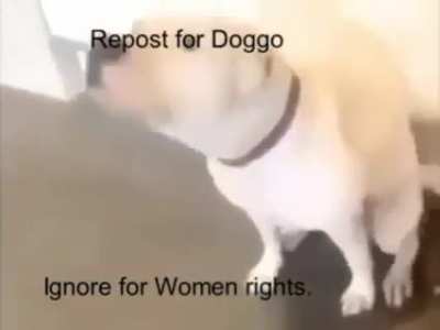 Ok