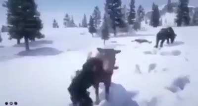 WTF UN VEGANO VIENDO QUE UNA VACA SE COME SU PASTO