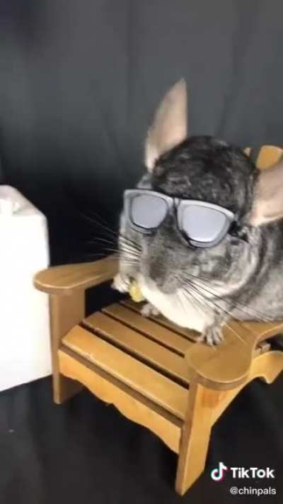 This video has the potential to redeem tiktok.