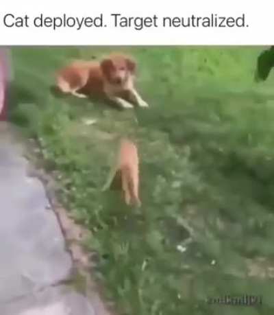 Tango Down