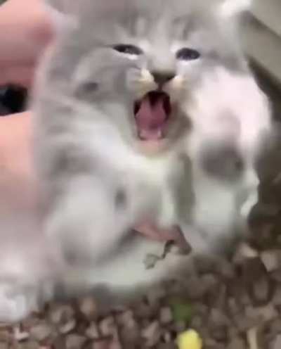 I guess he&rsquo;s not happy