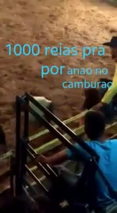 &Eacute; s&oacute; colocar o an&atilde;o dentro do lat&atilde;o e pronto, ganhou 1000 reais. Parece f&aacute;cil n&eacute;?