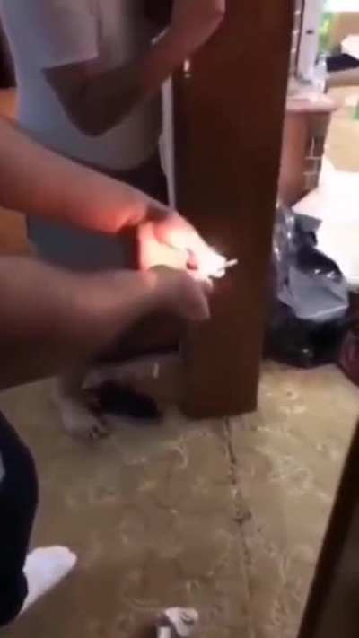 Fire in the butthole.