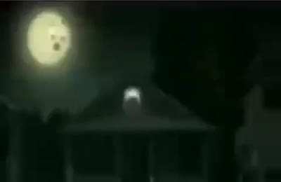 * shitpost is racism in disguise * the shitpost: