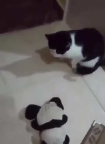 P&ocirc; Felipe 