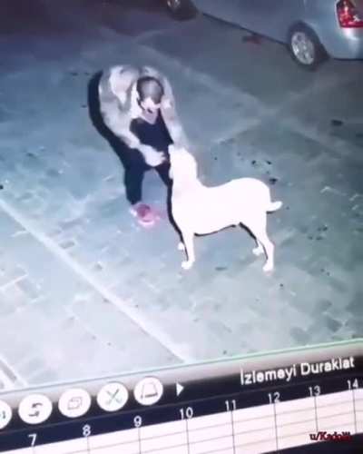 Best drunk person I have ever seen