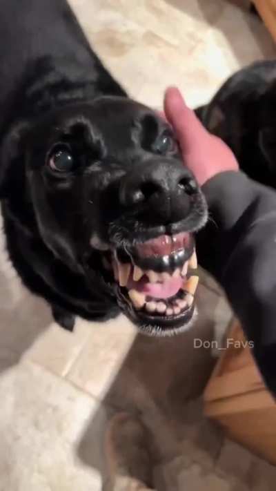 Uno te pide amor, el otro te pide almas 