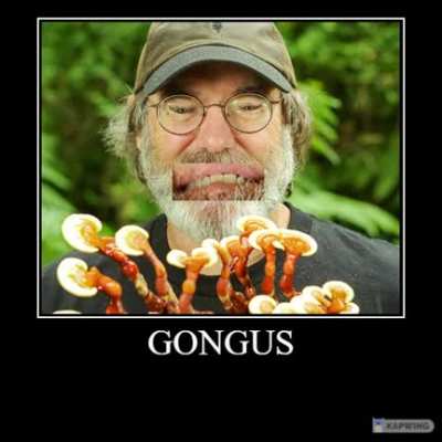Gongus