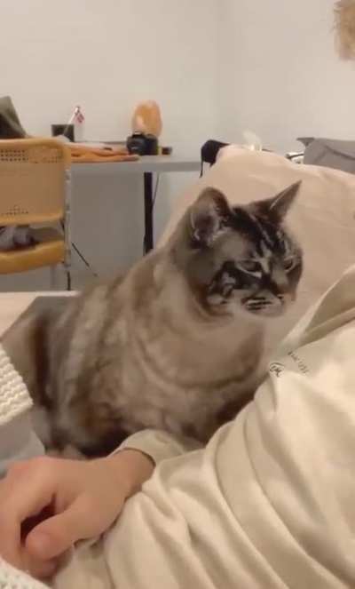 Cranky to Happy in 5 seconds