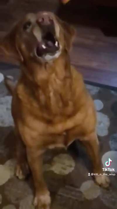 He&rsquo;s doing his best.