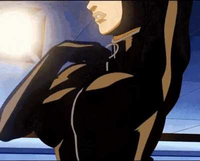 catwoman strip [dc] (artist Unknown)