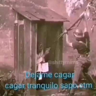 xd