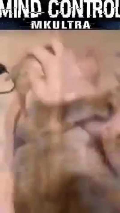 Lo rob&eacute; de aqu&iacute; 