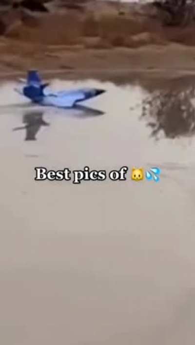 🐱💦