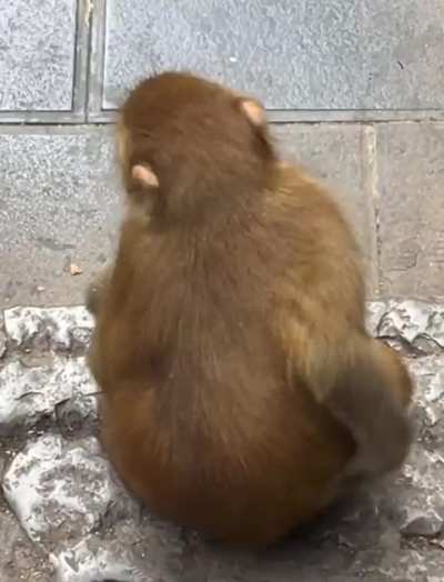 My butt is a little itchy