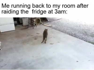 Don't mind me