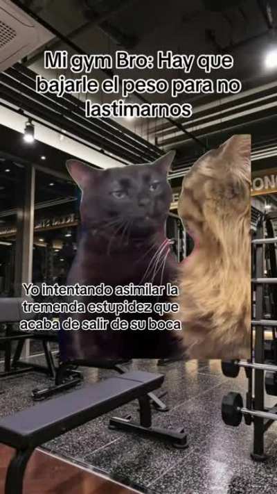 Hora de cambiar de gym bro &eth;&laquo;&nbsp;