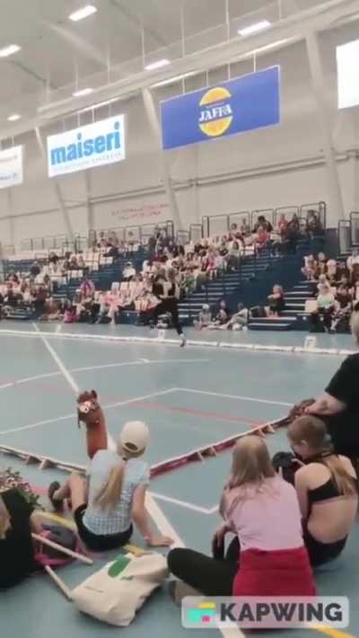 Hobby horsing is a sport with gymnastic elements which uses hobby horses, also known as stick horses. Movement sequences similar to those in show jumping or dressage are partly simulated in courses.