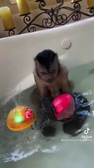 Can&rsquo;t tell if he loves it or hates it
