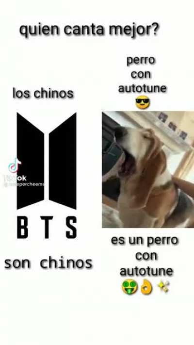 Perro con autotun
