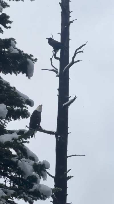 Awesome video (Grand Tetons)