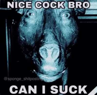 Nice cock 👍