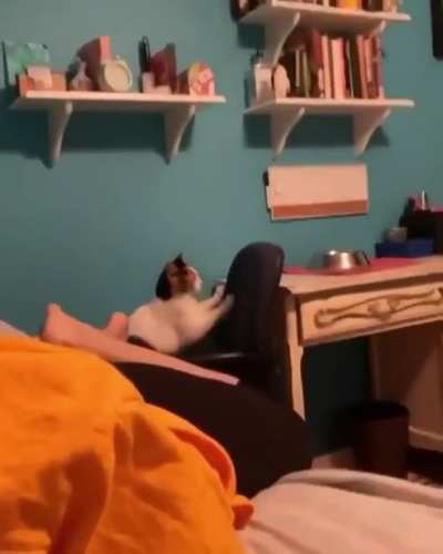run&amp;gt;CAT: ERROR.EXE