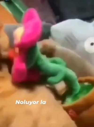 Tulum &ccedil;alan karadenizli &ccedil;i&ccedil;ek yerli ve milli