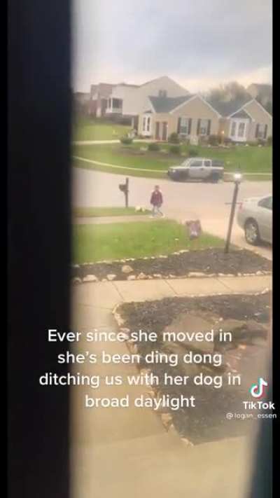 Ding dong ditcher