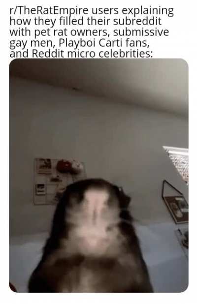 >us.