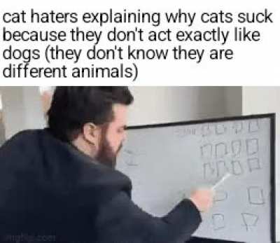 "cats don't actually love you" mfs when they realize no one has ever actually loved them in their entire life.