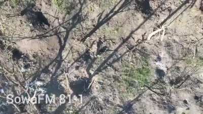 (UA) Drone Team "SowaFm" of the 81st Brigade Wounded a Pair of Russians with Drone Dropped Grenades. (24 April, 2024)