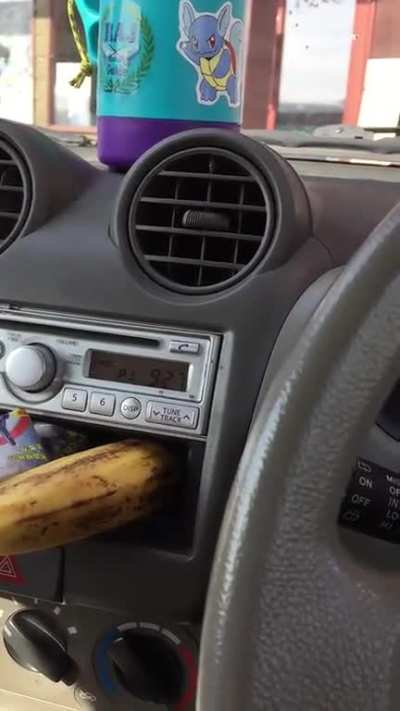This reggae song appears to be in Creole or Cajun French. Can anyone identify dialect and maybe even help translate or transcribe some of the words? We are trying to ID the song!