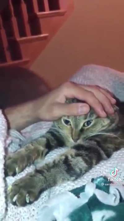 Reverse Cat Hostage!