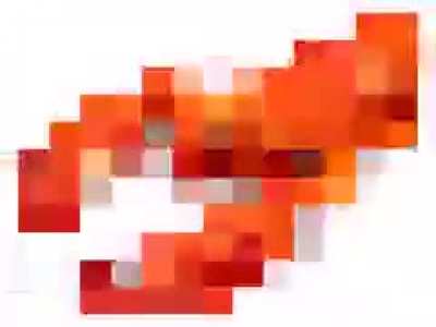 lober.mp4