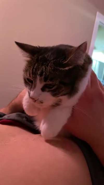Sleepy hover kneads