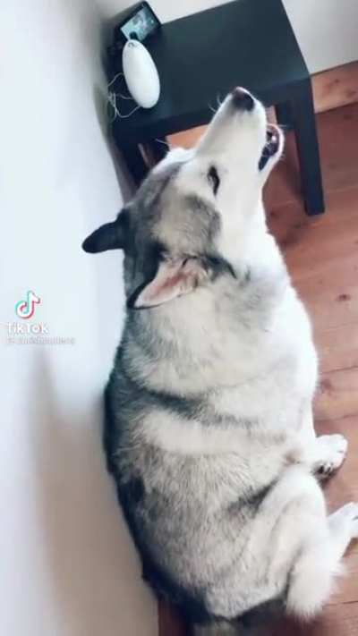 Let me sing you a lil song