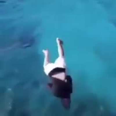 Incre&iacute;ble el flip