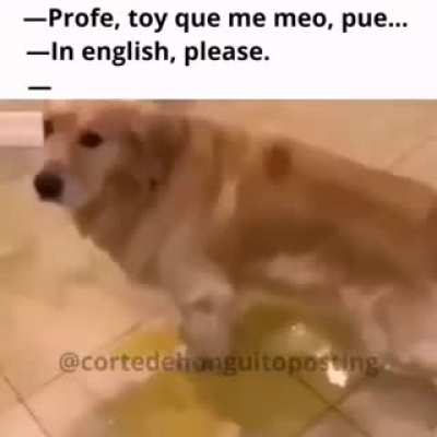 Me meo