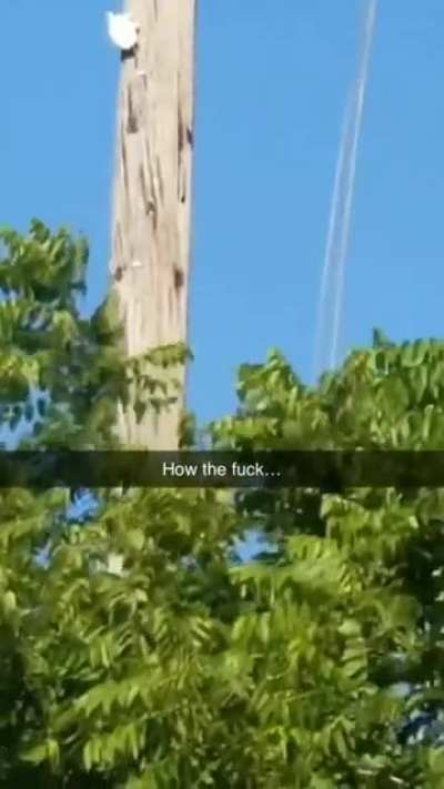 How?