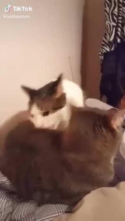 pure terror