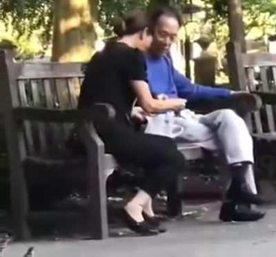 免费蛋白