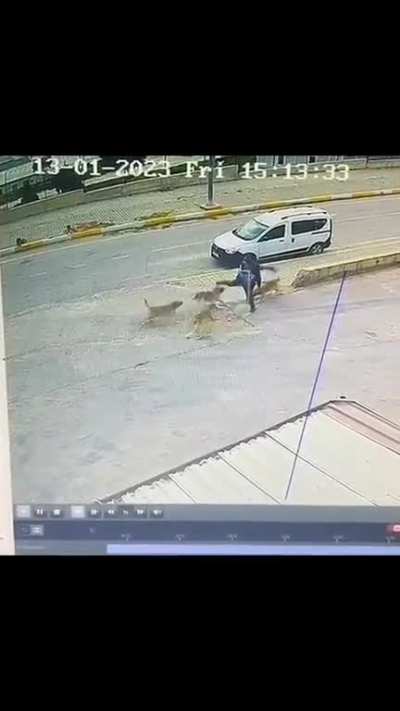 Attacked by dogs