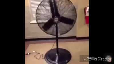 I’m a fan of this