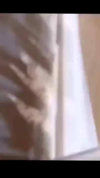#IRespectFish